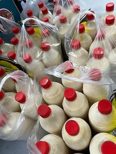 ослинное молоко: Домашнее молоко, сметана, сары май, кымыз (Бишкек) Описание — 8