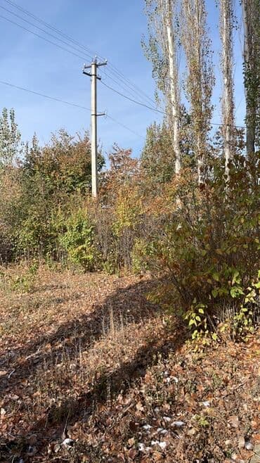 рабочий городок пол дома: Продаю 3 комнатный дом село Полтавка. Без ремонта. Есть красная книга — 18