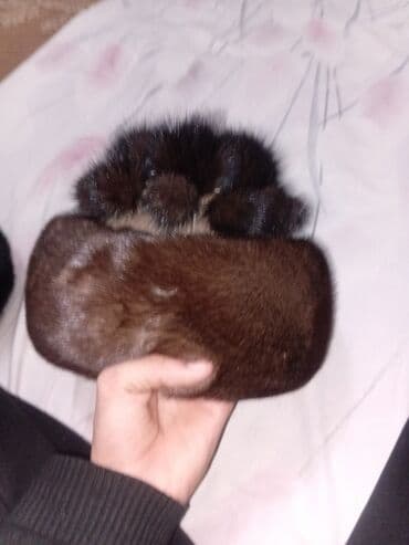 платья на выпускной бишкек: Шапка, С помпоном — 5