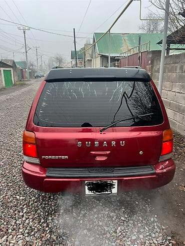 машина subaru: Subaru Forester: 1999 г., 2.5 л, Автомат, Бензин, Кроссовер — 1