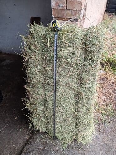 Грызуны: Сено в тюках. Описание: - Прямоугольные тюки плотной прессовки - — 2