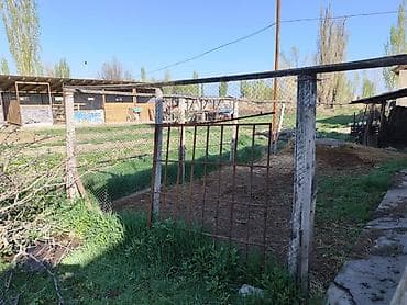 продам участки: Продаю участок с домом в с. Буденовка 20 соток 104м2+ хоз. постройки — 9
