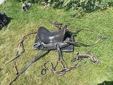 спортивный седло: Продаю кожаные сёдла в комплекте. (6 шт делали на заказ) катали — 2