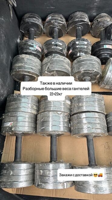 гантели для начинающих дома: Разборные гантели с регулируемым весом. Удобный вариант для домашних — 2