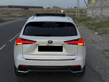 трибьют машина: Lexus NX: 2019 г., 2 л, Автомат, Гибрид, Кроссовер — 2