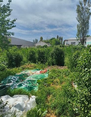 дом беловотиский: Продается дом 4 комнаты. S=80m2. Участок 8 сот.Цена 155т.$. Торг при — 6