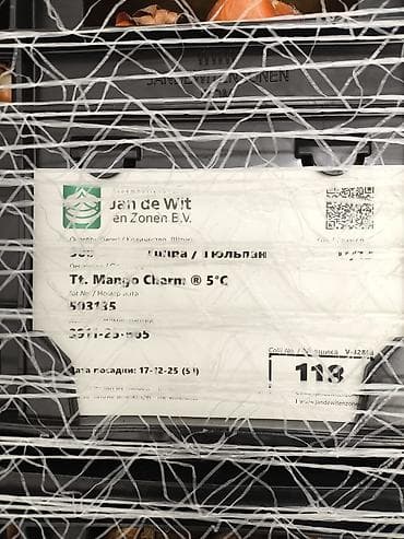 домашнии пельмени: Платная доставка — 2