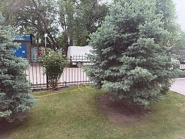 логвинен: 2 комнаты, 65 м², Элитка, 1 этаж, Косметический ремонт — 9