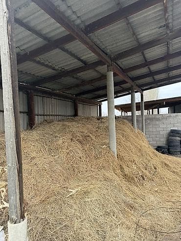 соль оптом: Сено в навесе - Натуральное луговое сено россыпью - Хранится под — 2
