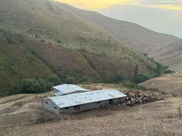 сдаётся дом алтын ордо: Үй, 20 кв. м, 4 бөлмө, Менчик ээси — 14