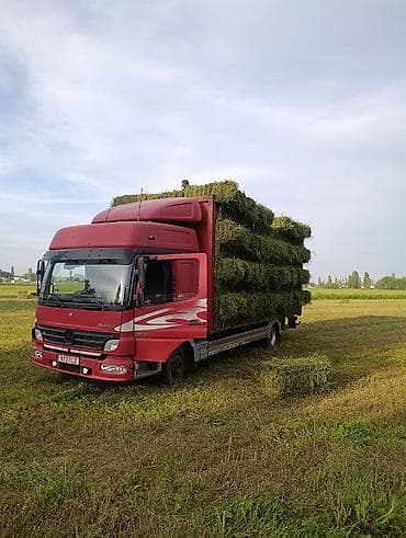 Тюк с доставкой с укладкой цена договорная Сено в тюках