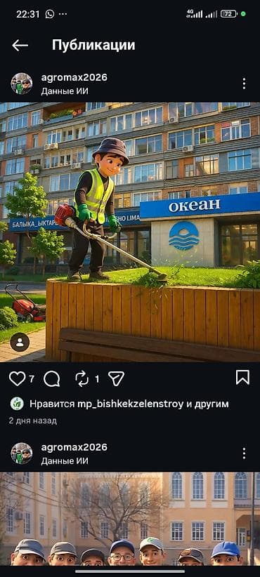 Аймактарды жыйнап тазалоо, Газон чабуу — 1