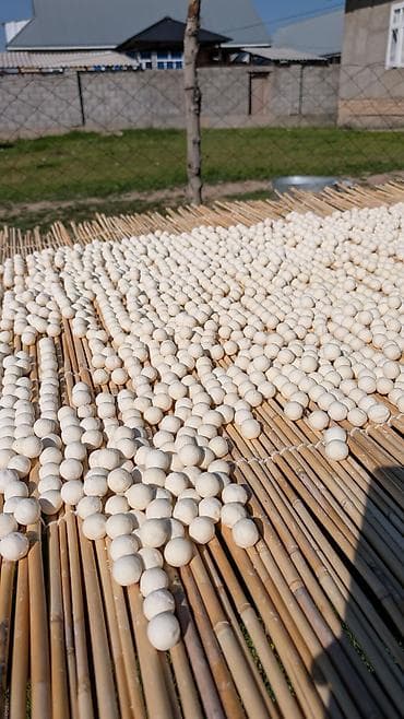 Өндүрүш үчүн жабдуулар: Курут станогу 
Болгону 1 ай иштетилген 
 Абалы жакшы — 2