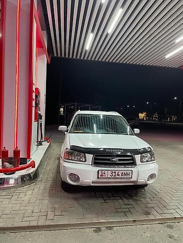 багаж форестер: Subaru Forester: 2003 г., 2 л, Автомат, Бензин, Универсал — 3