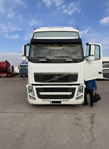 подножки: Тягач, Volvo, 2012 г., Шторный — 1