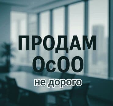 какой бизнес можно открыть в бишкеке 2024: Продается ОсОО (общество с ограниченной ответственностью), компания — 1