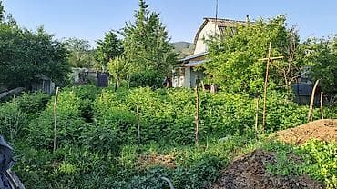 резанный контейнер: Продаётся дачаный дом мансардные болшой1комнат,1этаж 4-комнатый,и — 5