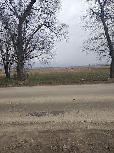 продаю участки: 50 соток, Для сельского хозяйства — 3