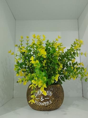 room: 1 комната, 18 м², Гостиничный тип, 8 этаж — 1