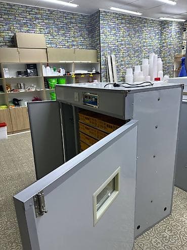 инкубаторы мини: Инкубатор 1056 яиц 2в1 полный автомат в наличии бар выводимость 85% — 8