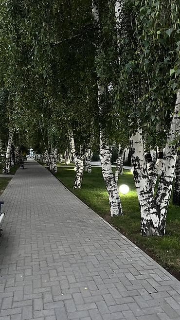 Детская площадка Для улицы — 2