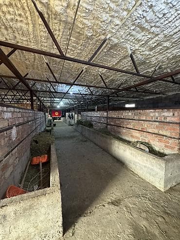 продою дом: Кошара, 100 соток, Действующий, С оборудованием, Электричество, Канализация, Отопление — 7