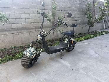 ом: Электроскутер Citycoco (чоппер-стиль) - Форм‑фактор чоппера с высокой — 2