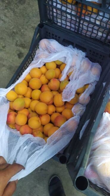 старый буфет: Пластиковый Ящик — 8