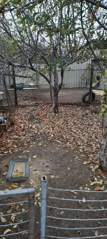 продаю дом пригород: Дом, 77 м², 4 комнаты, Агентство недвижимости, Косметический ремонт — 9