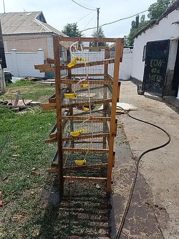 дакан цыплят: Для перепелок Описание: - Конструкция на 5 уровней, каркас — 2