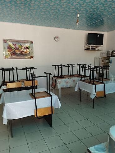 Кемпинг на Иссык-Куле: Песчаный пляж у озера с живописным видом на горы и лесной берег — 7