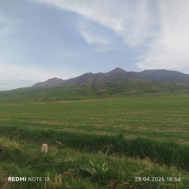 Продажа участков: 6 соток — 1