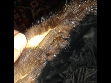 срочно продаю в связи с переездом: Продаю или меняю шапку. мама практически не носила ей большая. просто — 2