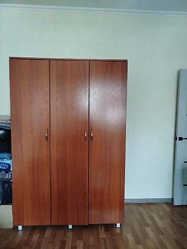 Шифоньерлер, кийидер үчүн шкафтар: Шифоньерлер, кийидер үчүн шкафтар, Колдонулган, Түз, ЛДСП — 4