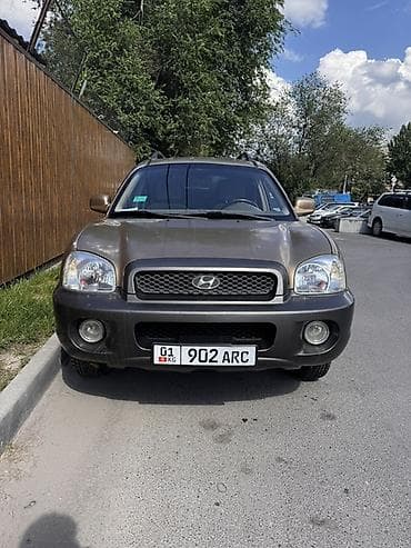 hundai: Hyundai Santa Fe: 2001 г., 2.7 л, Автомат, Бензин, Кроссовер — 1
