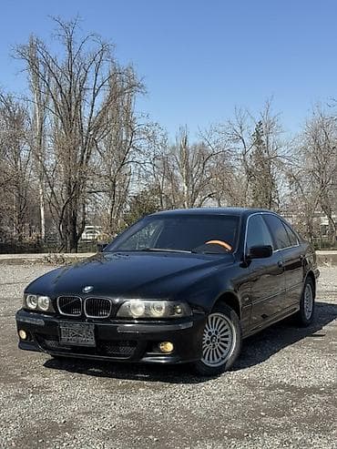 BMW: BMW 5 series: 2002 г., 2.5 л, Механика, Бензин, Седан — 6