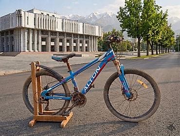 Велосипеды: Горный велосипед, Alton, Рама M (156 - 178 см), Сталь, Б/у — 1