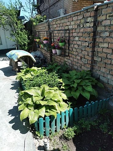 чистка огорода: Уборка территории, Уборка двора и сада — 1