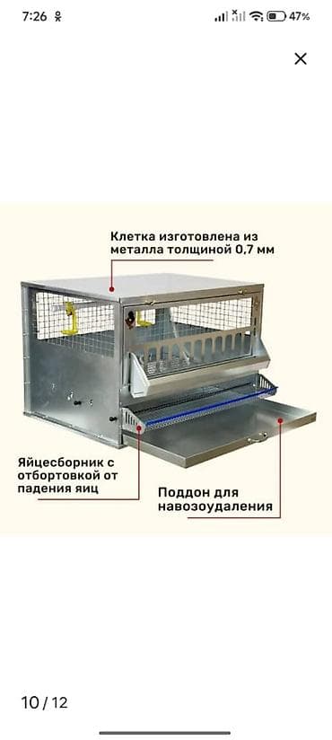 токмок кошка: Клетка для кур-несушек «Профессионал» (1 ярус, до 10 голов) — 2