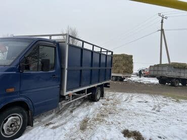 lexus 450d: Легкий грузовик, Mercedes-Benz, Стандарт, 3 т — 3