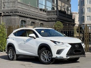 шины r16c: Lexus NX: 2019 г., Автомат, Кроссовер — 5