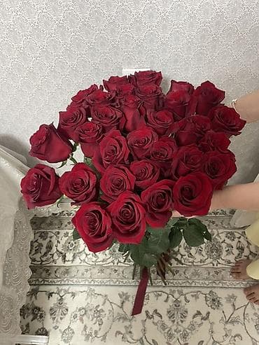 цена розы: Метровые голландские розы 31шт. 3300 сом Можете забрать самовывозом — 2