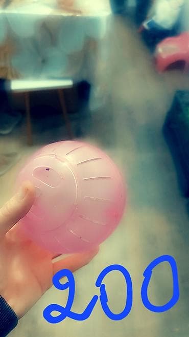 Үй жаныбарлары үчүн товарлар: Продаю клетки для хомячков. б/у. цены от 500 до 1500 сом. хомячки по — 8