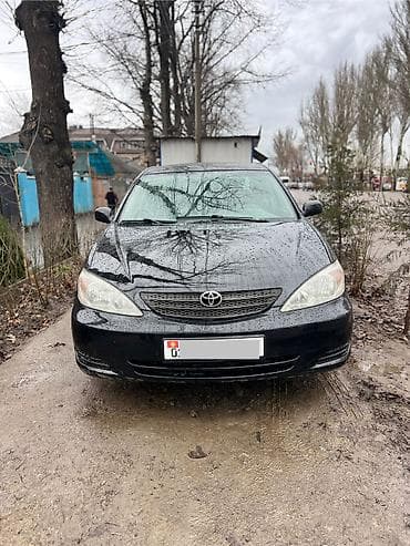 гоф 2: Toyota Camry: 2003 г., 2.4 л, Автомат, Бензин, Седан — 1