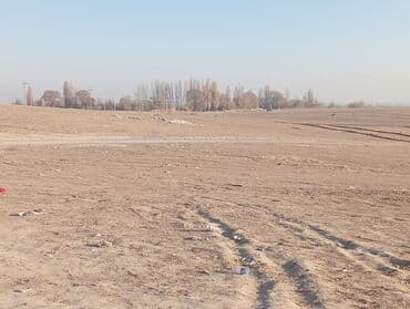 дома на обмен: 225 соток, Для бизнеса, Договор купли-продажи — 11