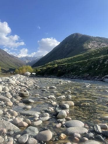 аренда дивижок: 2 комнаты, С подселением, С мебелью полностью — 1