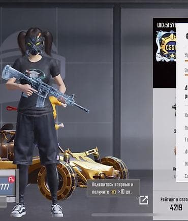 растровые куклы: PUBG Mobile - Ранг/уровень коллекционера: «Легендарный коллекционер — 1