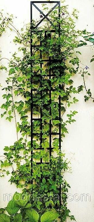 Предлагаем настенные опоры для вьющихся растений! Изготовленны из