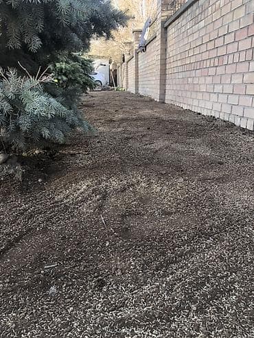 куплю дерево дуб: Услуги по озеленению и подготовке газона - Профессиональная — 2