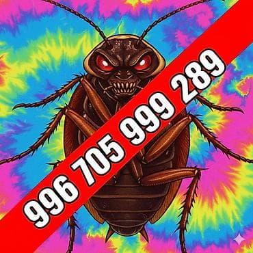 травить тараканов: Дезинфекция, дезинсекция, | Клопы, Блохи, Тараканы, | Транспорт, Офисы, Квартиры — 4